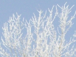 Pentax Optio E30 - daylight 2 fragment 1