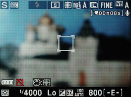 Nikon D5000