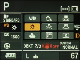 Panasonic Lumix DMC-L1 - menu on screen