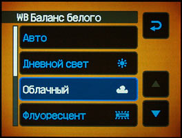 Sony Cyber-shot DSC-N2 - menu