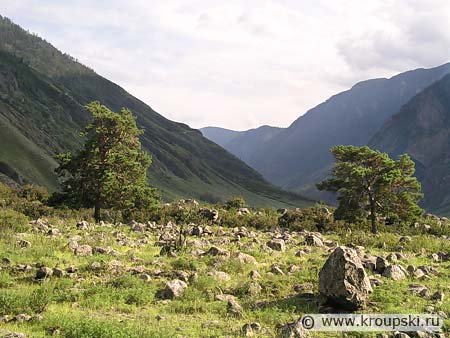 Камни в долине реки Чулышман