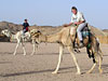 Хургада, Египет, отдых в отеле Arabia Beach Resort