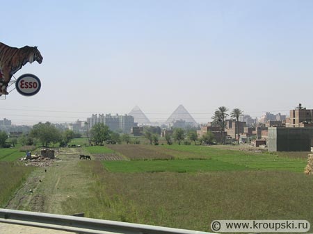 Гиза - пирамиды на горизонте