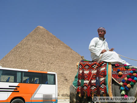 Автобус, пирамида Хеопса и верблюд
